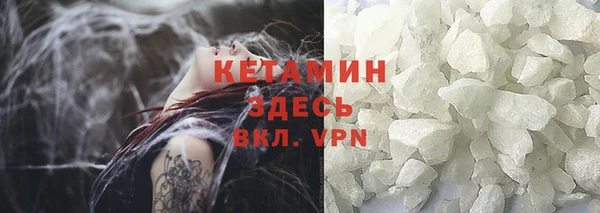 прущие грибы Покров