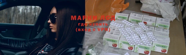 прущие грибы Покров