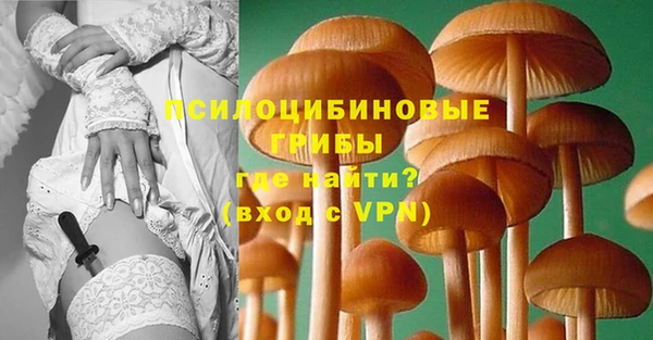 СК Покровск