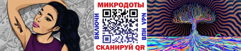 где найти   Светогорск  Галлюциногенные грибы Psilocybe 